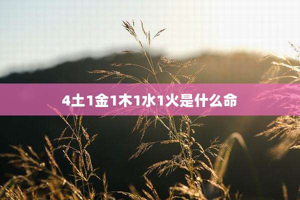 4土1金1木1水1火是什么命