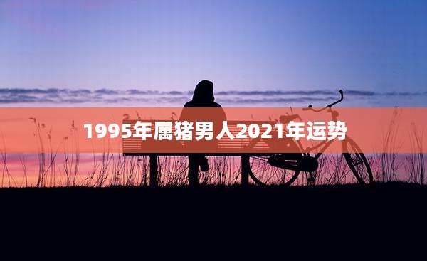 1995年属猪男人2021年运势