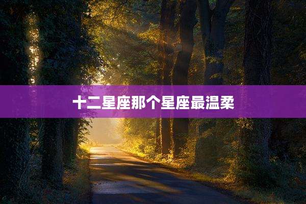 十二星座那个星座最温柔