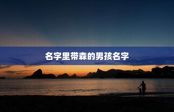名字里带森的男孩名字