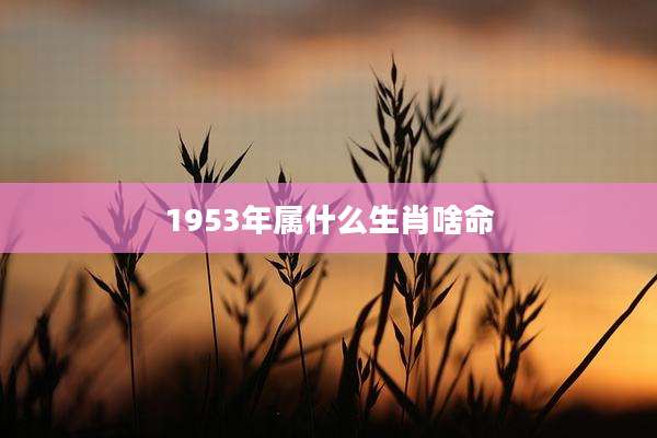 1953年属什么生肖啥命
