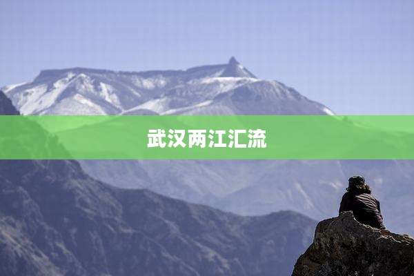 武汉两江汇流