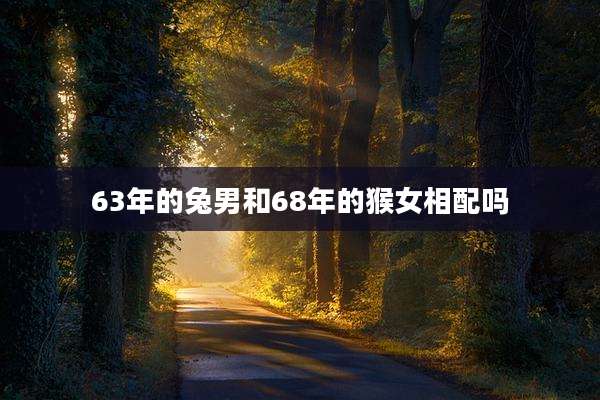 63年的兔男和68年的猴女相配吗