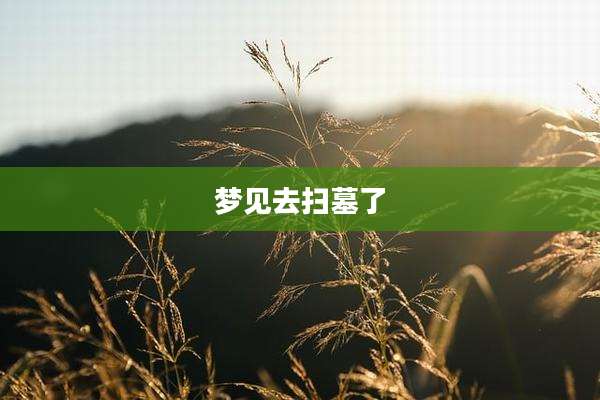 梦见去扫墓了