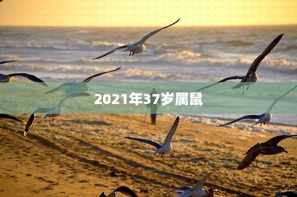 2021年37岁属鼠