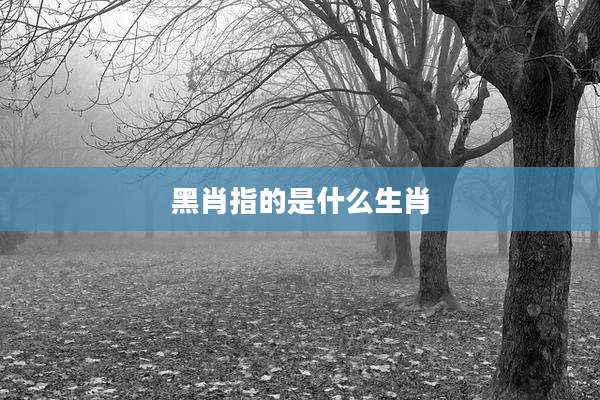 黑肖指的是什么生肖