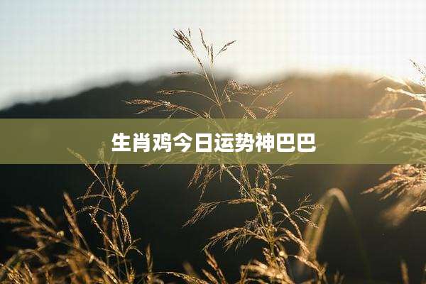 生肖鸡今日运势神巴巴