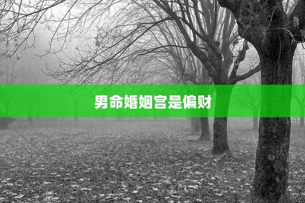男命婚姻宫是偏财