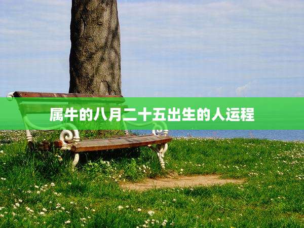 属牛的八月二十五出生的人运程