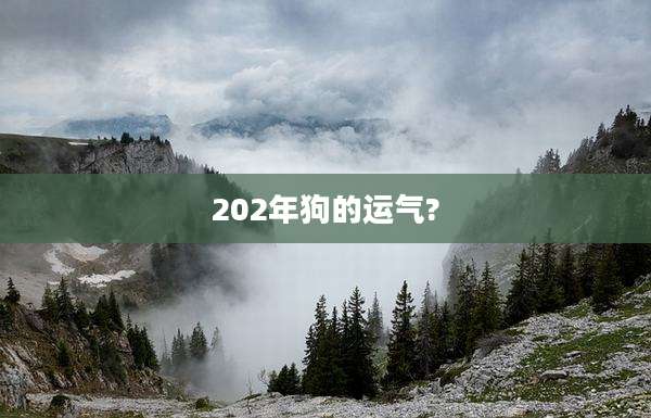 202年狗的运气?
