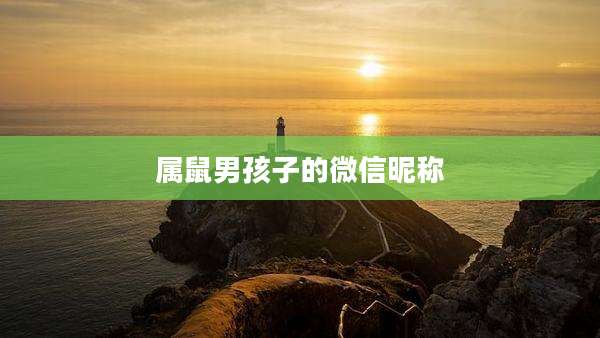 属鼠男孩子的微信昵称