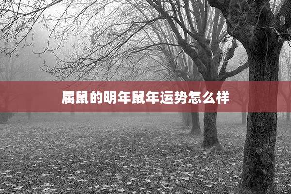 属鼠的明年鼠年运势怎么样