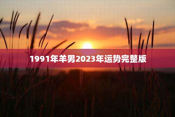 1991年羊男2023年运势完整版