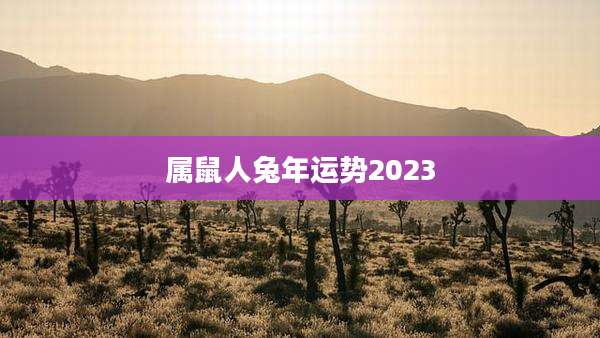 属鼠人兔年运势2023