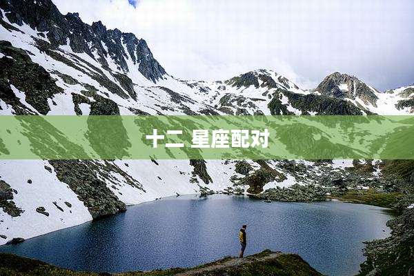 十二 星座配对