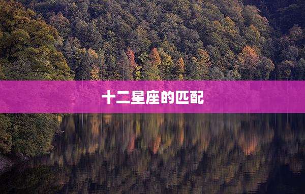 十二星座的匹配