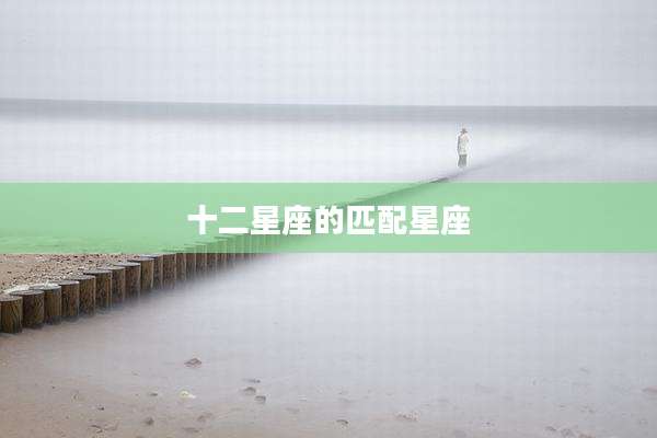 十二星座的匹配星座