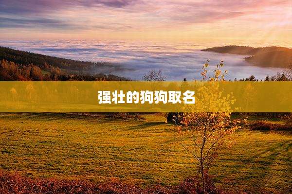 强壮的狗狗取名