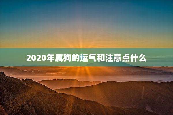 2020年属狗的运气和注意点什么