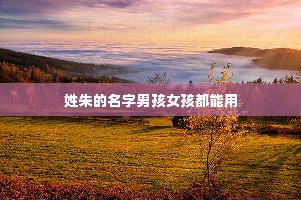 姓朱的名字男孩女孩都能用