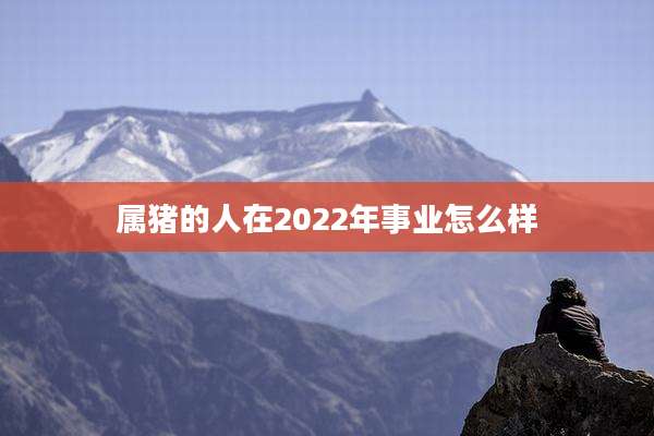 属猪的人在2022年事业怎么样