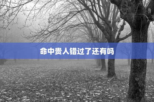 命中贵人错过了还有吗