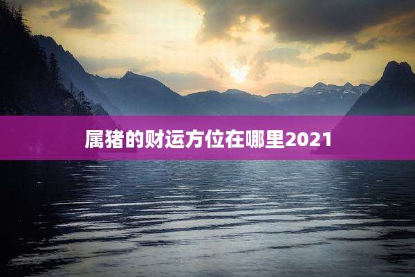 属猪的财运方位在哪里2021