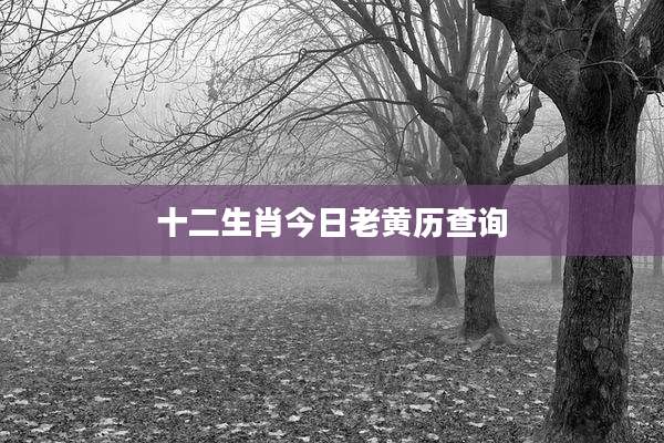 十二生肖今日老黄历查询