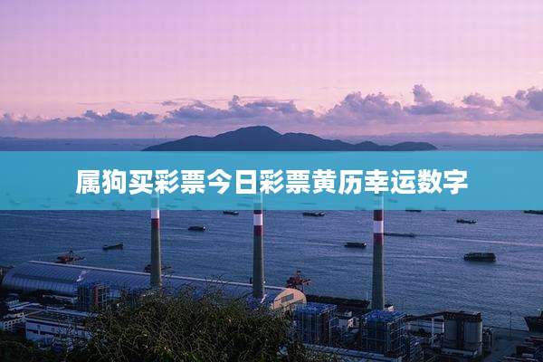 属狗买彩票今日彩票黄历幸运数字