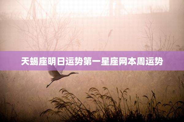 天蝎座明日运势第一星座网本周运势