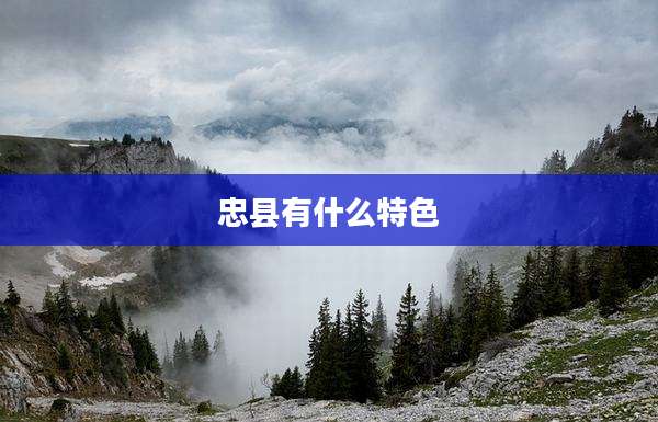 忠县有什么特色