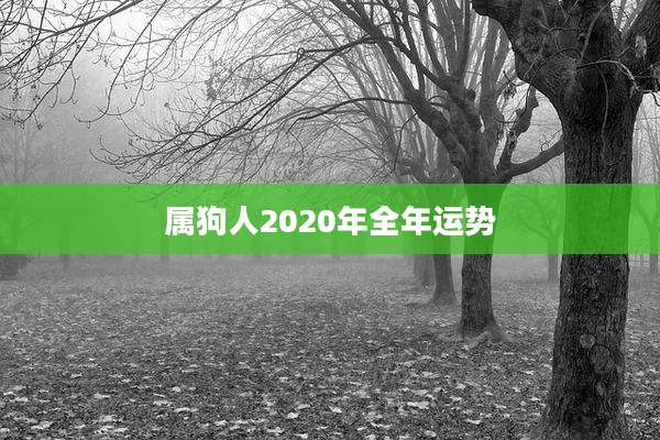 属狗人2020年全年运势