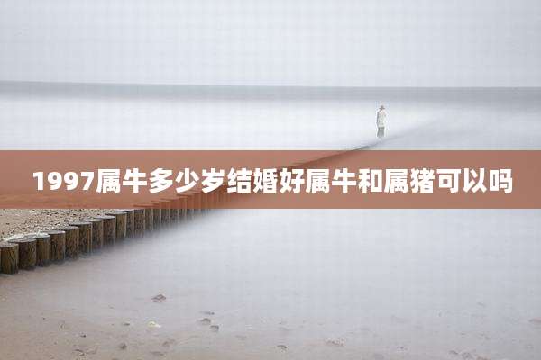 1997属牛多少岁结婚好属牛和属猪可以吗