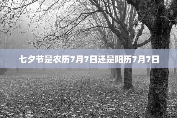 七夕节是农历7月7日还是阳历7月7日