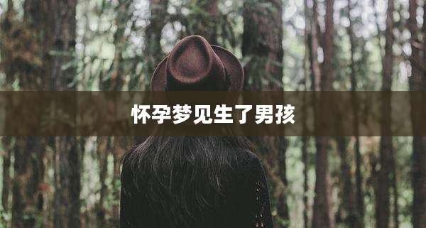 怀孕梦见生了男孩