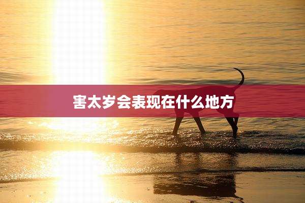 害太岁会表现在什么地方