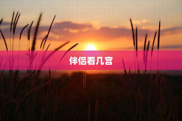 伴侣看几宫