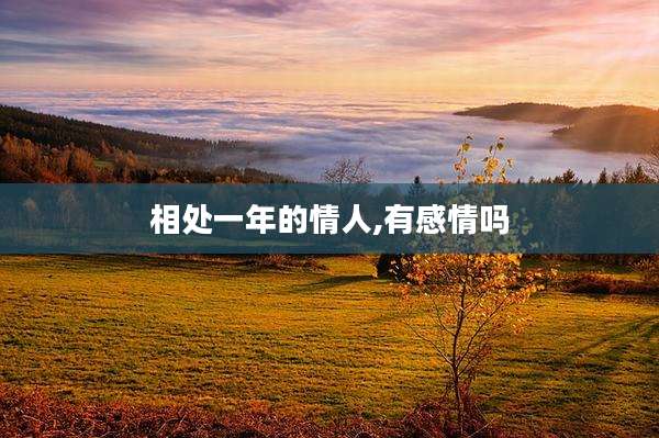相处一年的情人,有感情吗