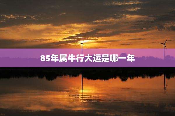 85年属牛行大运是哪一年