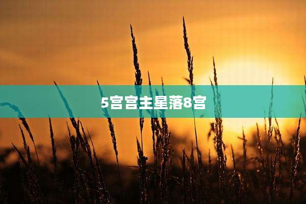 5宫宫主星落8宫