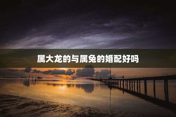 属大龙的与属兔的婚配好吗