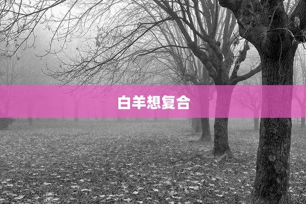 白羊想复合
