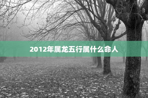 2012年属龙五行属什么命人