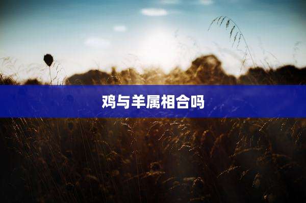 鸡与羊属相合吗