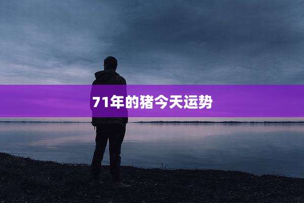 71年的猪今天运势