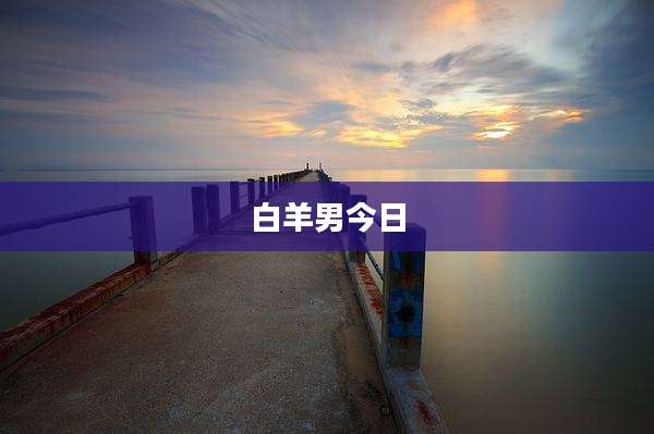 白羊男今日