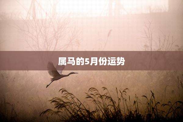 属马的5月份运势