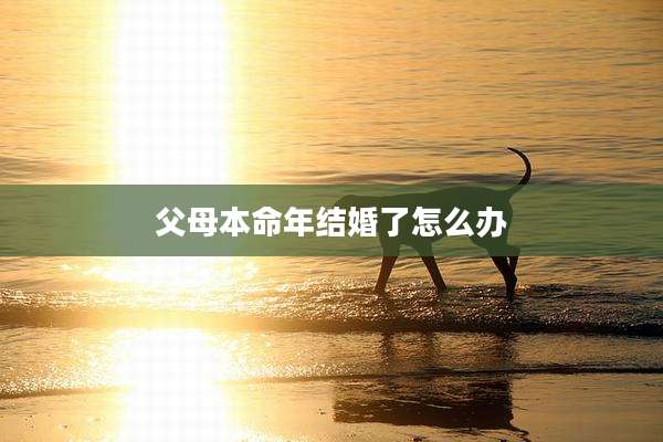 父母本命年结婚了怎么办