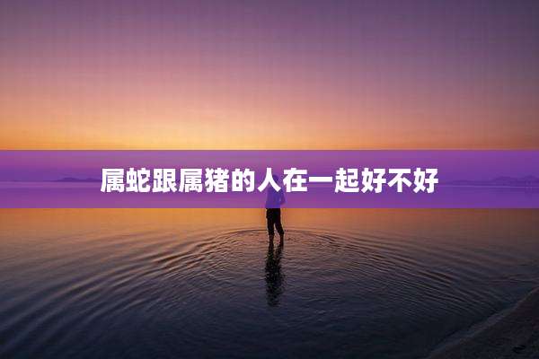 属蛇跟属猪的人在一起好不好