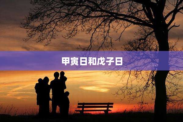 甲寅日和戊子日